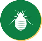 Bed Bug Control