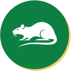 Rodent Control