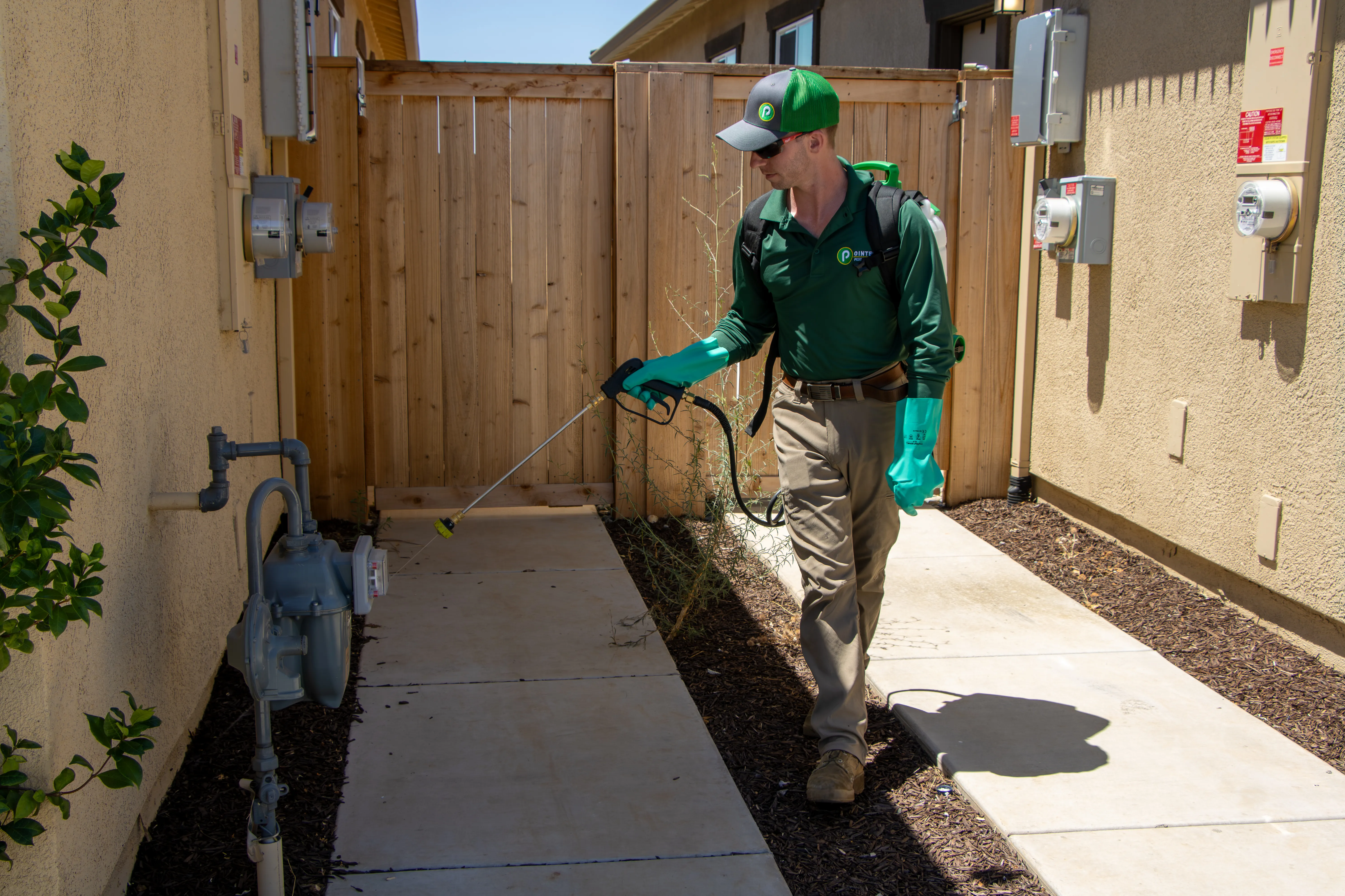Pointer Pest Control technician spraying foundation for cockroaches in Roseville